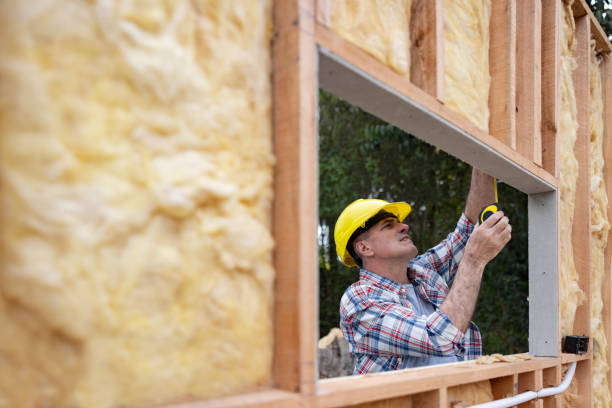 Best Basement Insulation  in Manson, IA