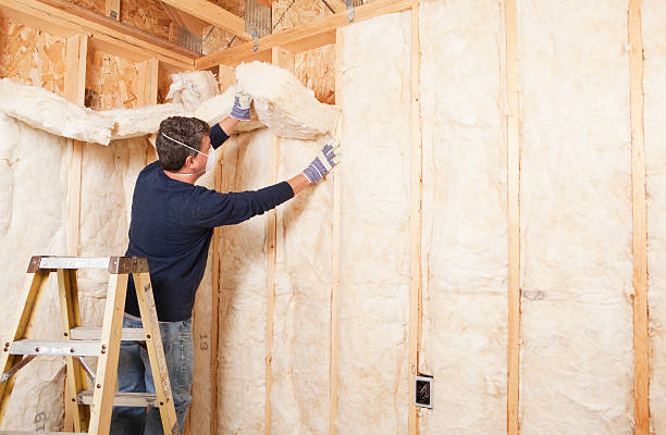 Best Commercial Insulation Services  in Manson, IA