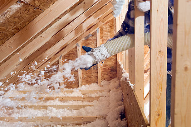 Best Weatherproofing Services  in Manson, IA